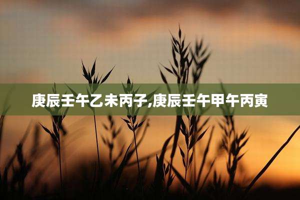 庚辰壬午乙未丙子,庚辰壬午甲午丙寅