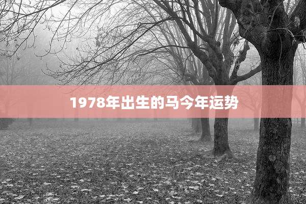 1978年出生的马今年运势