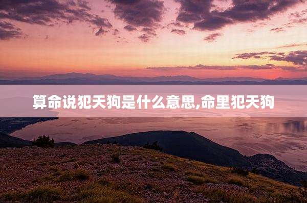 算命说犯天狗是什么意思,命里犯天狗