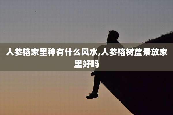 人参榕家里种有什么风水,人参榕树盆景放家里好吗
