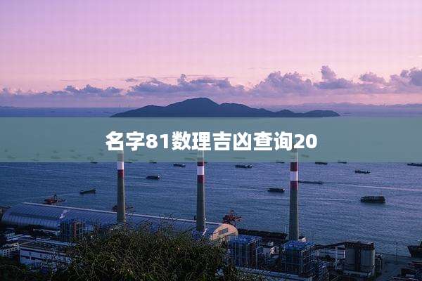 名字81数理吉凶查询20