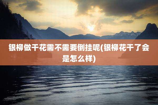 银柳做干花需不需要倒挂呢(银柳花干了会是怎么样)