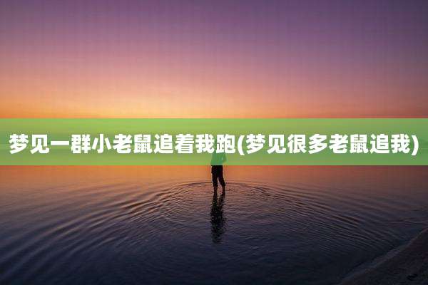 梦见一群小老鼠追着我跑(梦见很多老鼠追我)