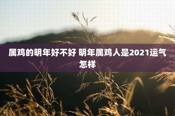 属鸡的明年好不好 明年属鸡人是2021运气怎样