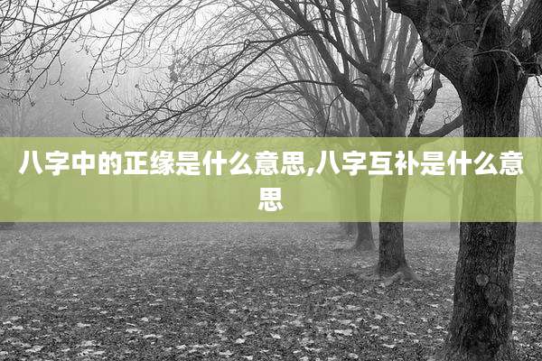 八字中的正缘是什么意思,八字互补是什么意思