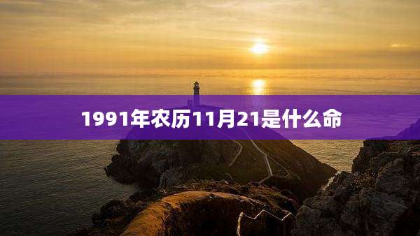 1991年农历11月21是什么命