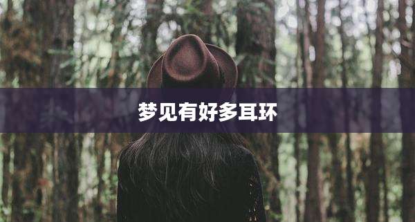 梦见有好多耳环