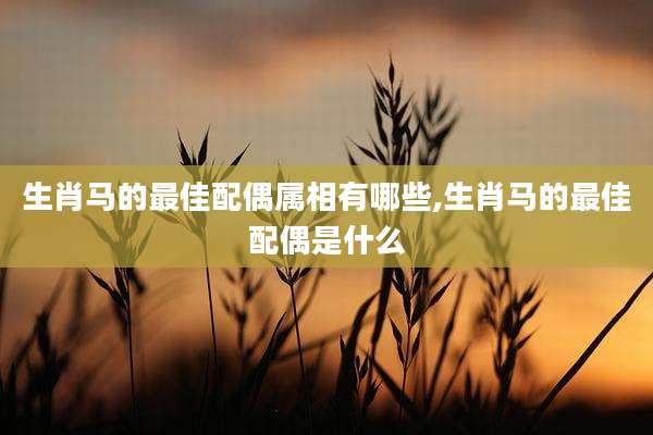 生肖马的最佳配偶属相有哪些,生肖马的最佳配偶是什么