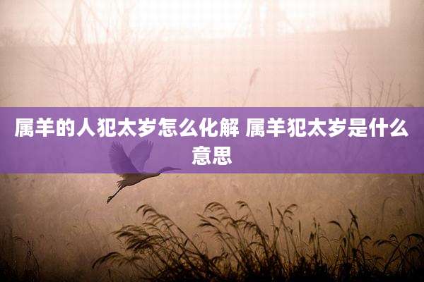属羊的人犯太岁怎么化解 属羊犯太岁是什么意思