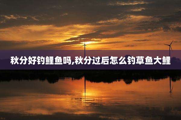 秋分好钓鲤鱼吗,秋分过后怎么钓草鱼大鲤
