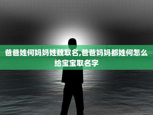 爸爸姓何妈妈姓魏取名,爸爸妈妈都姓何怎么给宝宝取名字