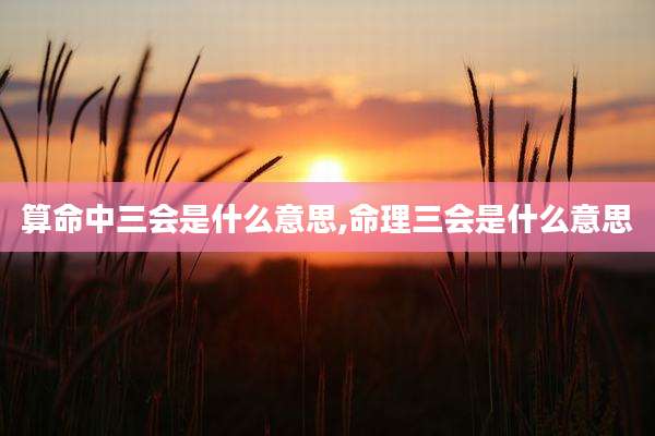 算命中三会是什么意思,命理三会是什么意思