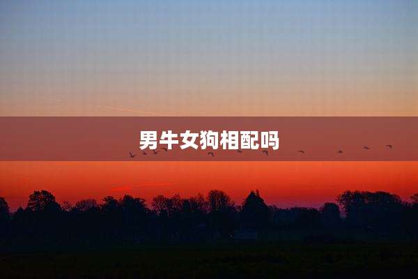 男牛女狗相配吗