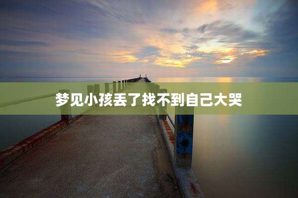 梦见小孩丢了找不到自己大哭