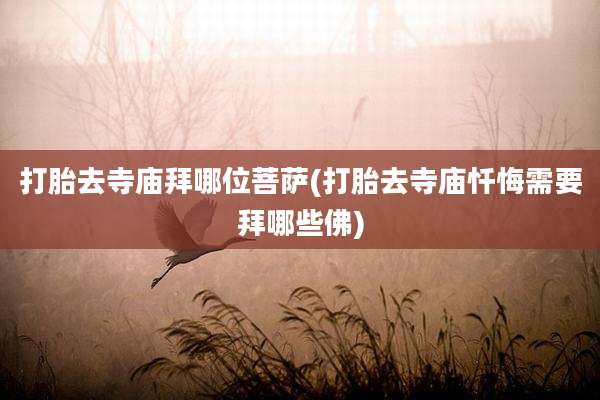 打胎去寺庙拜哪位菩萨(打胎去寺庙忏悔需要拜哪些佛)