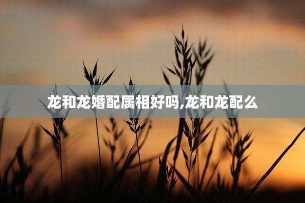 龙和龙婚配属相好吗,龙和龙配么