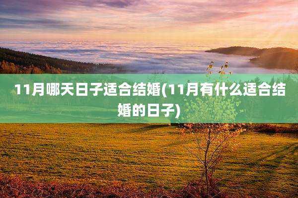 11月哪天日子适合结婚(11月有什么适合结婚的日子)