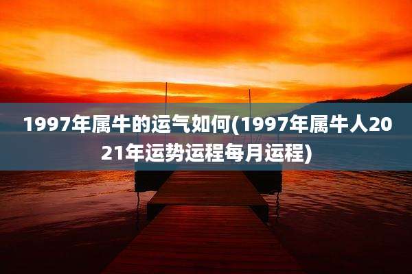 1997年属牛的运气如何(1997年属牛人2021年运势运程每月运程)