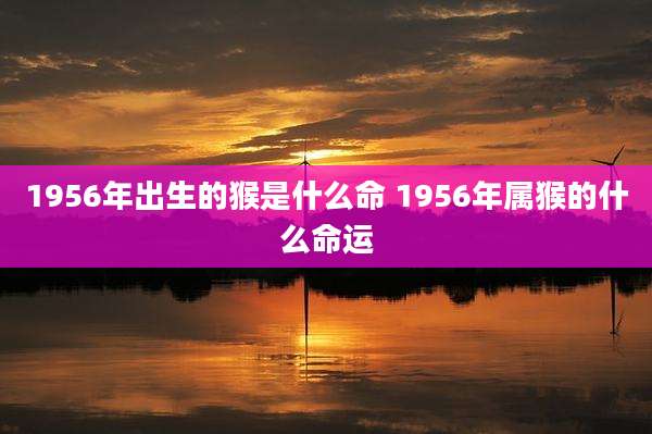 1956年出生的猴是什么命 1956年属猴的什么命运