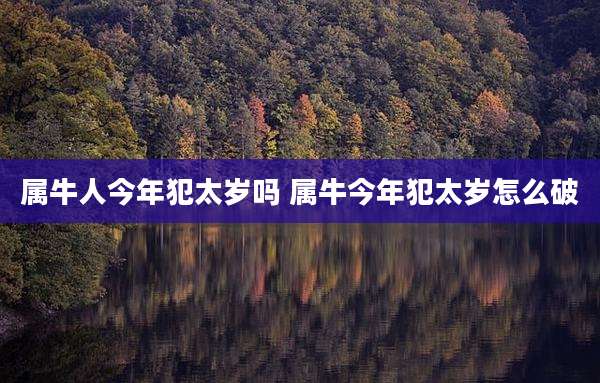 属牛人今年犯太岁吗 属牛今年犯太岁怎么破