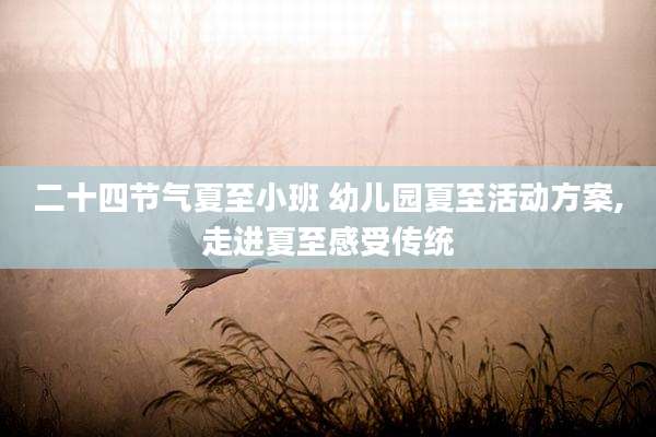 二十四节气夏至小班 幼儿园夏至活动方案,走进夏至感受传统