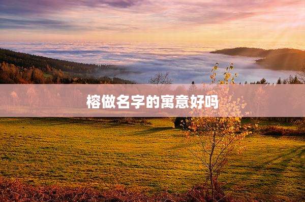 榕做名字的寓意好吗