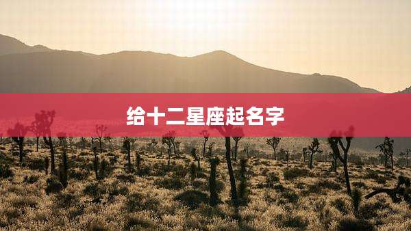 给十二星座起名字