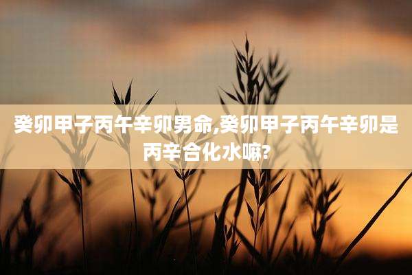 癸卯甲子丙午辛卯男命,癸卯甲子丙午辛卯是丙辛合化水嘛?