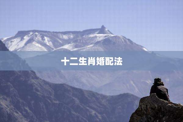 十二生肖婚配法