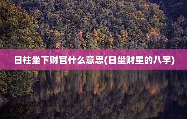 日柱坐下财官什么意思(日坐财星的八字)