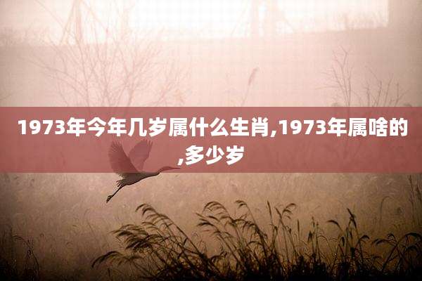 1973年今年几岁属什么生肖,1973年属啥的,多少岁