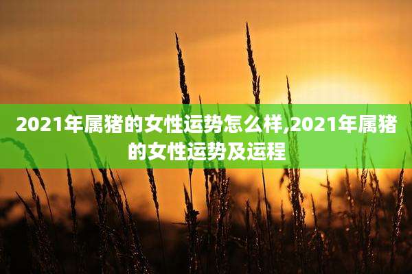2021年属猪的女性运势怎么样,2021年属猪的女性运势及运程