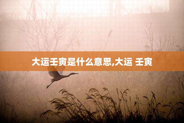 大运壬寅是什么意思,大运 壬寅