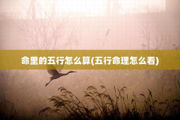命里的五行怎么算(五行命理怎么看)