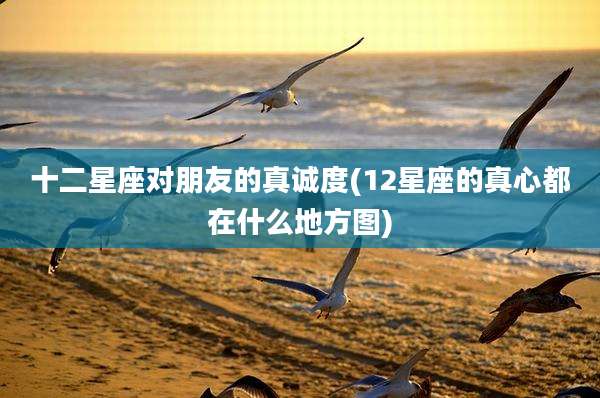 十二星座对朋友的真诚度(12星座的真心都在什么地方图)