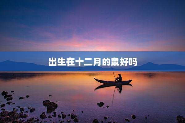出生在十二月的鼠好吗