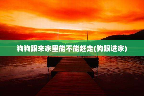 狗狗跟来家里能不能赶走(狗跟进家)