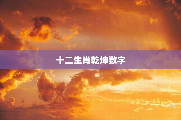 十二生肖乾坤数字