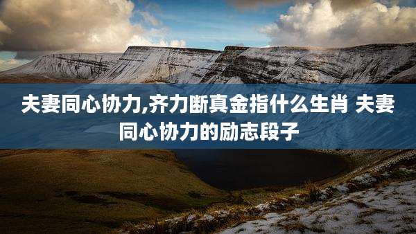 夫妻同心协力,齐力断真金指什么生肖 夫妻同心协力的励志段子