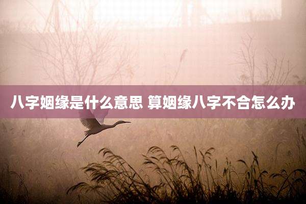 八字姻缘是什么意思 算姻缘八字不合怎么办