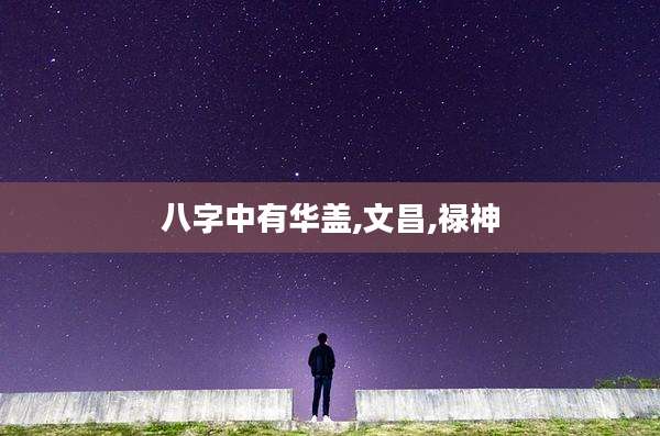 八字中有华盖,文昌,禄神