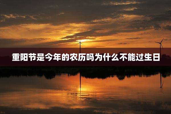 重阳节是今年的农历吗为什么不能过生日