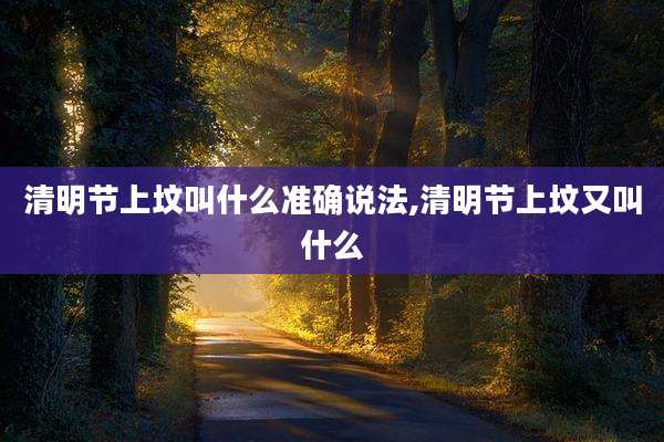 清明节上坟叫什么准确说法,清明节上坟又叫什么
