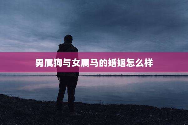 男属狗与女属马的婚姻怎么样