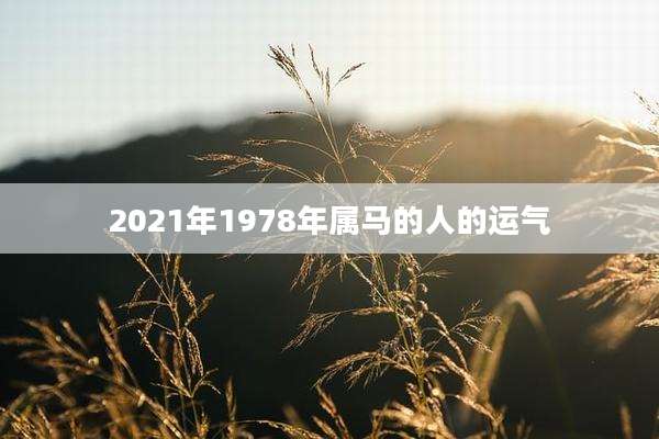 2021年1978年属马的人的运气