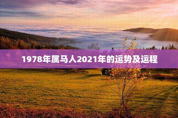 1978年属马人2021年的运势及运程