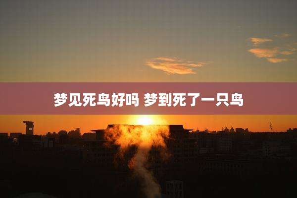 梦见死鸟好吗 梦到死了一只鸟