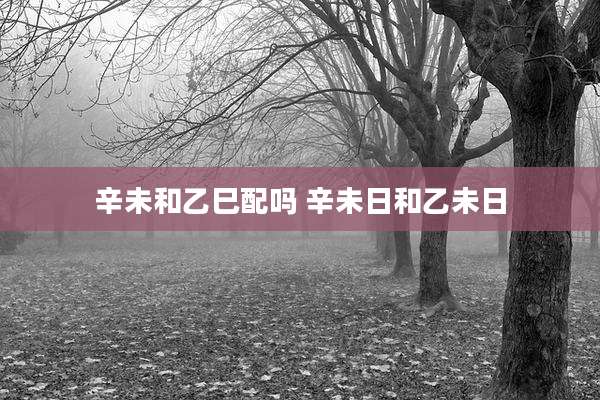 辛未和乙巳配吗 辛未日和乙未日
