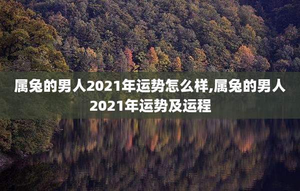 属兔的男人2021年运势怎么样,属兔的男人2021年运势及运程