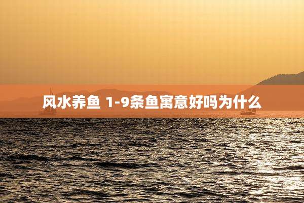 风水养鱼 1-9条鱼寓意好吗为什么